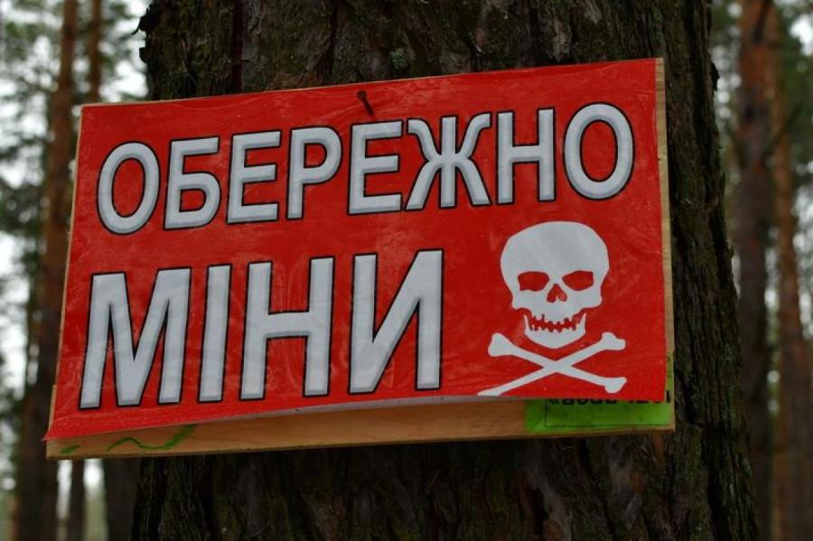 Литва создает Коалицию по разминированию Украины