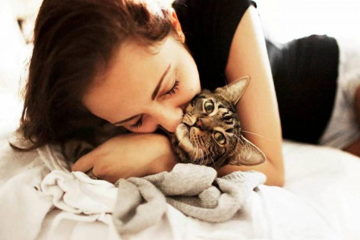 Помнят ли кошки людей, которых видят