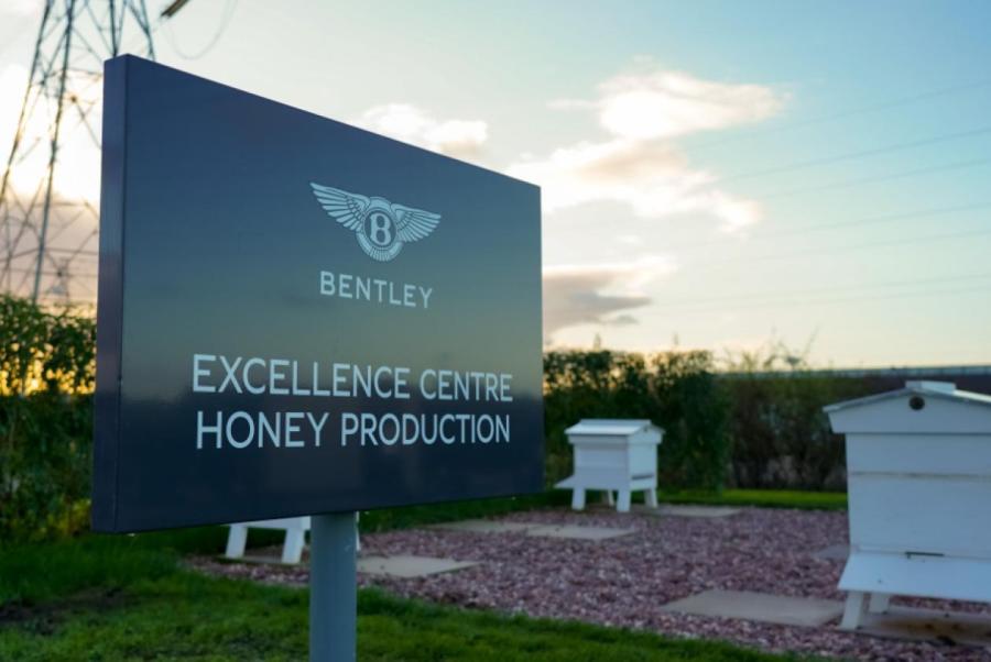 Пасека появилась возле завода Bentley в Крю Пасека появилась возле завода Bentley в Крю